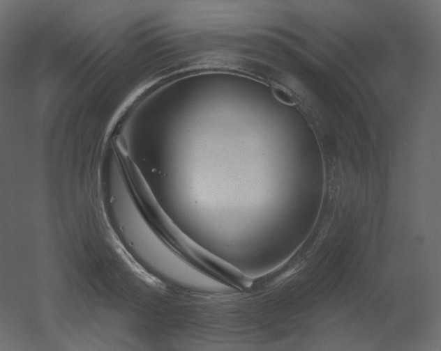 X0000051860796200506241320