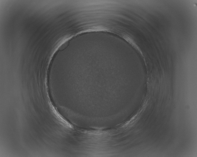 X0000051860797200506241320