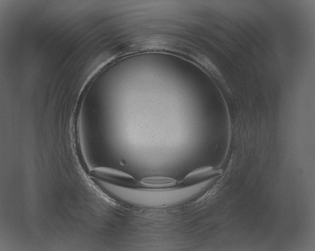 X0000051860798200506241319