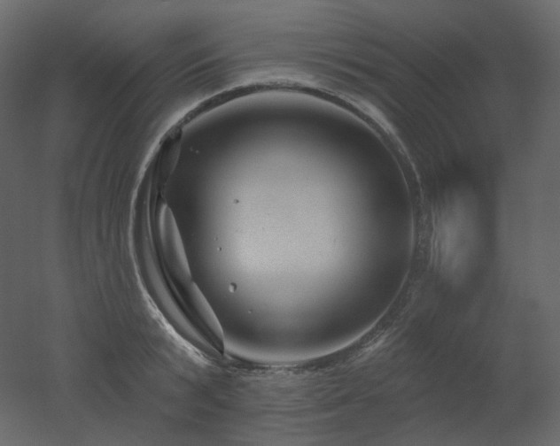 X0000051860799200506241319