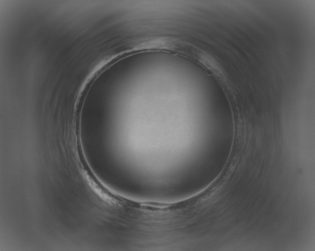 X0000051860800200506241319