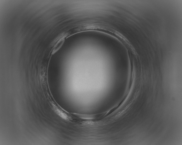 X0000051860801200506241319