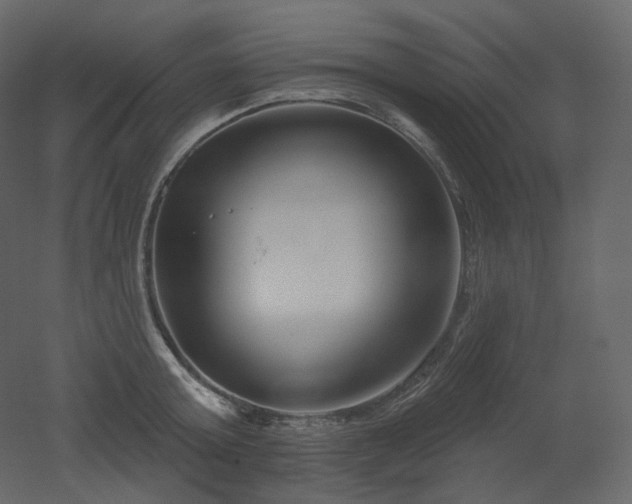 X0000051860803200506241319