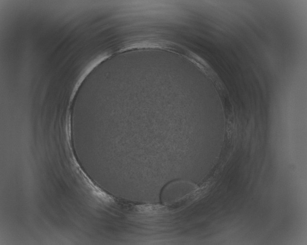 X0000051860804200506241319