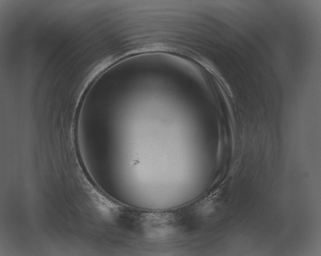 X0000051860805200506241319