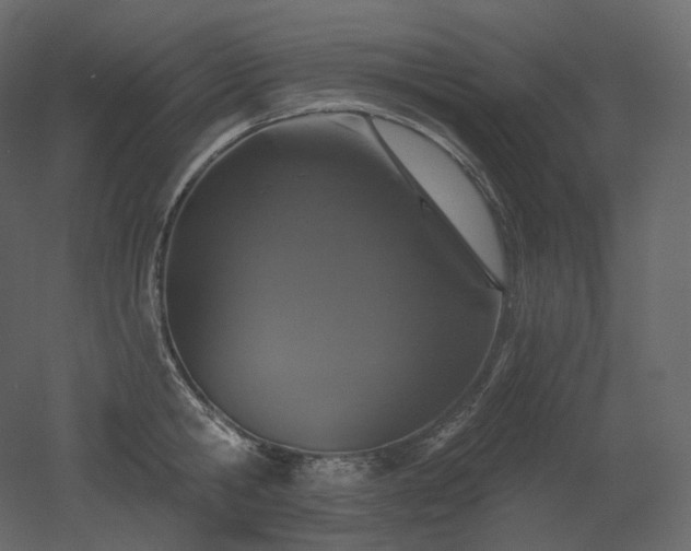 X0000051860806200506241319