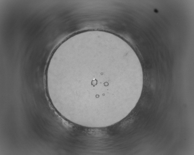 X0000051860807200506241319