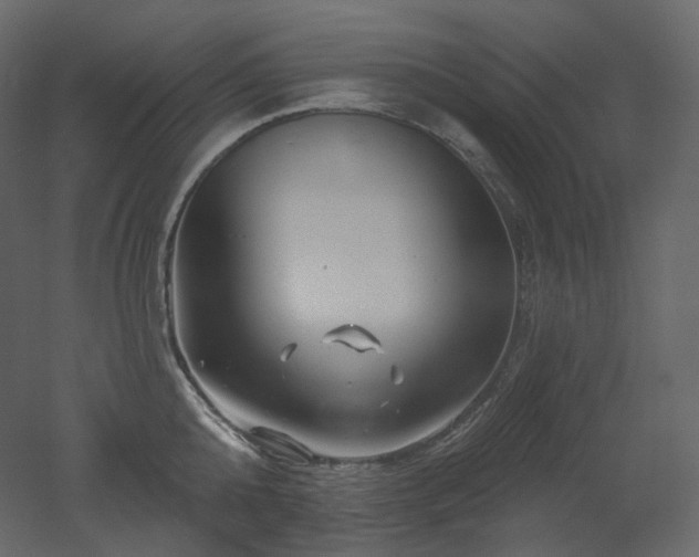 X0000051860808200506241319