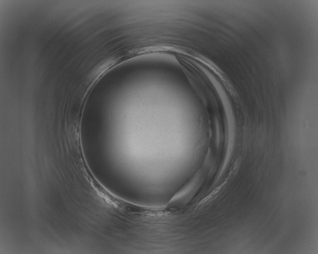 X0000051860809200506241319