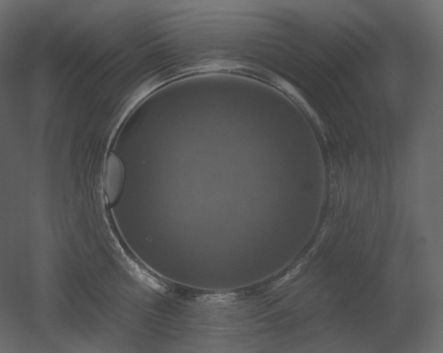 X0000051860810200506241319