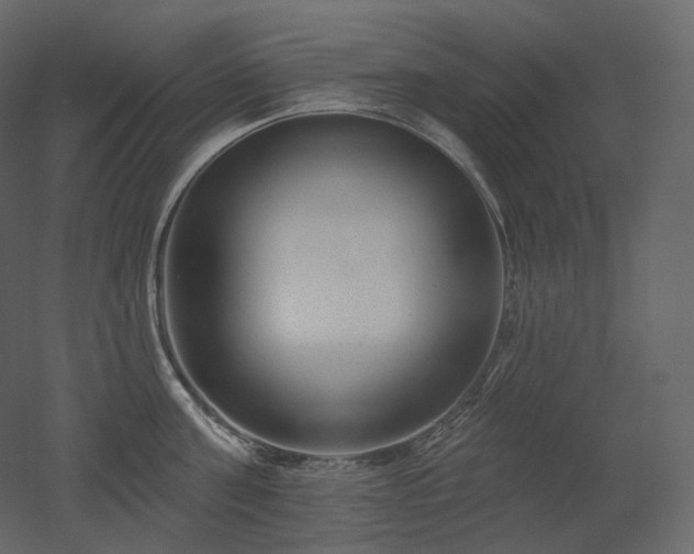 X0000051860811200506241319