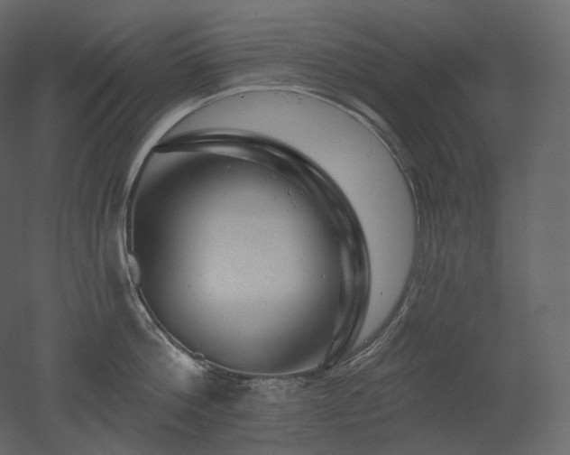 X0000051860812200506241319