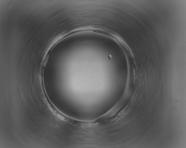 X0000051860813200506241319