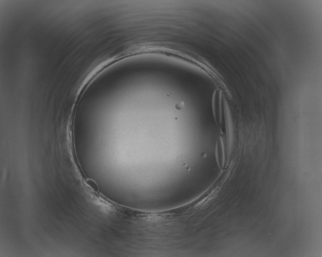 X0000051860814200506241319