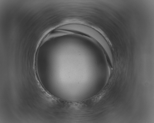 X0000051860815200506241319