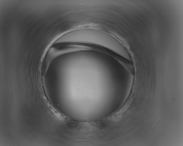 X0000051860816200506241319