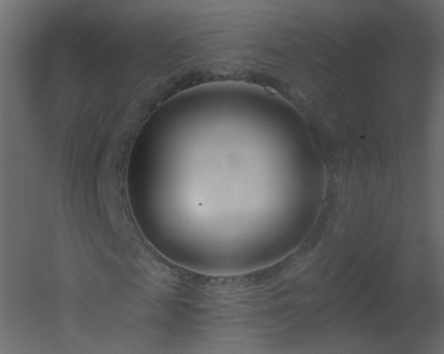 X0000051860817200506241318