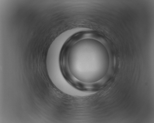 X0000051860818200506241318