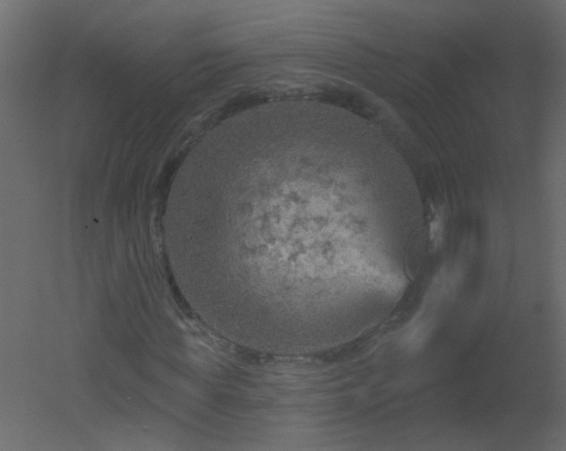 X0000051860819200506241318