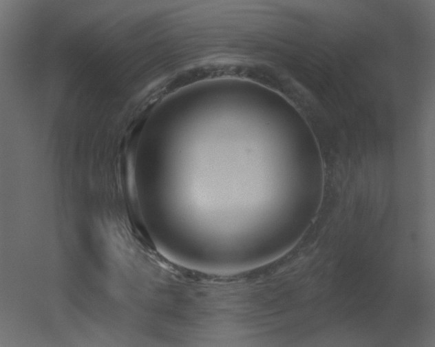 X0000051860821200506241318