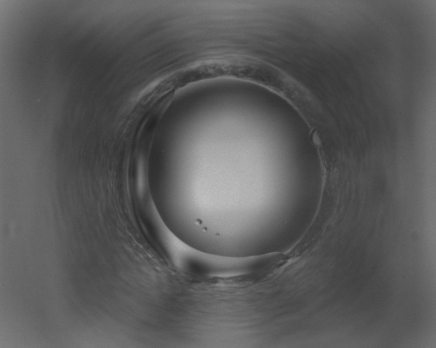 X0000051860822200506241318