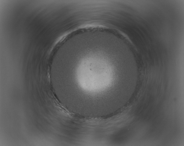 X0000051860823200506241318