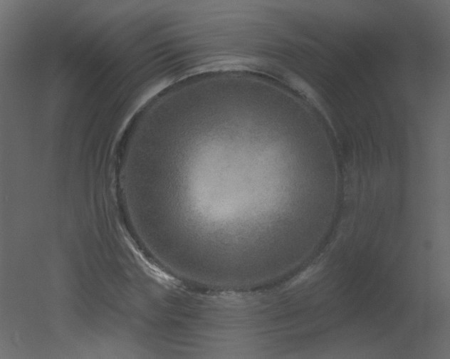 X0000051860827200506241319