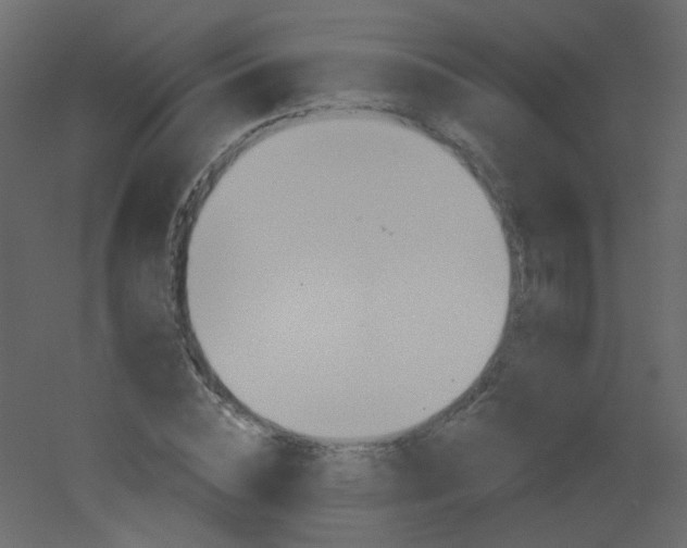 X0000051860828200506241319