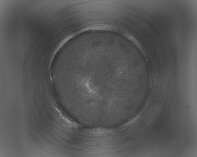 X0000051860829200506241319