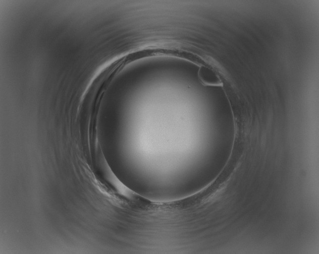 X0000051860830200506241319