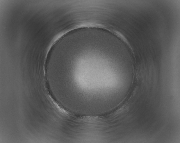 X0000051860831200506241319