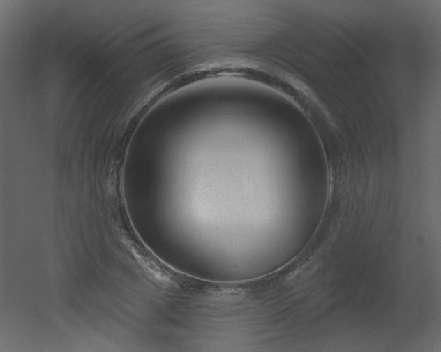 X0000051860833200506241319