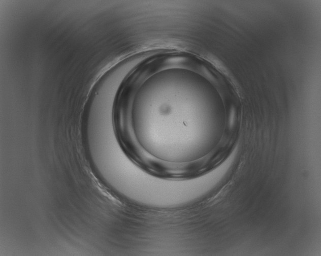 X0000051860834200506241319