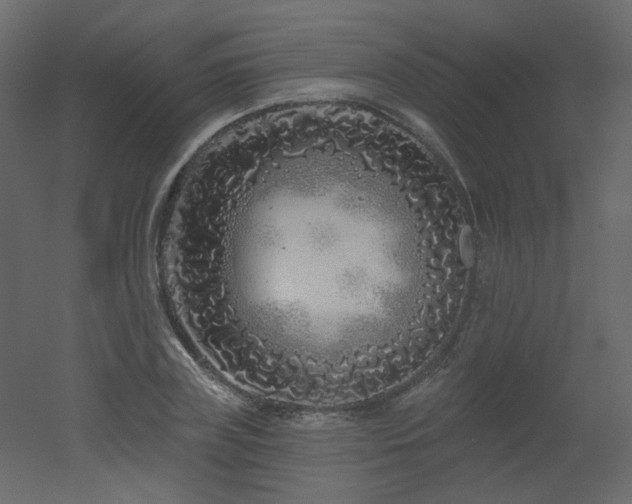 X0000051860835200506241319