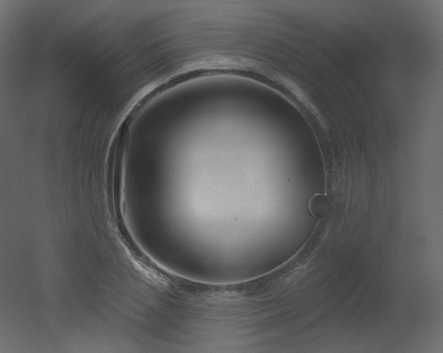 X0000051860837200506241319