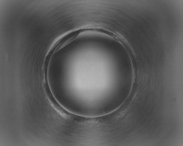 X0000051860838200506241319