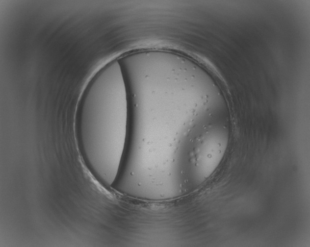 X0000051860839200506241319