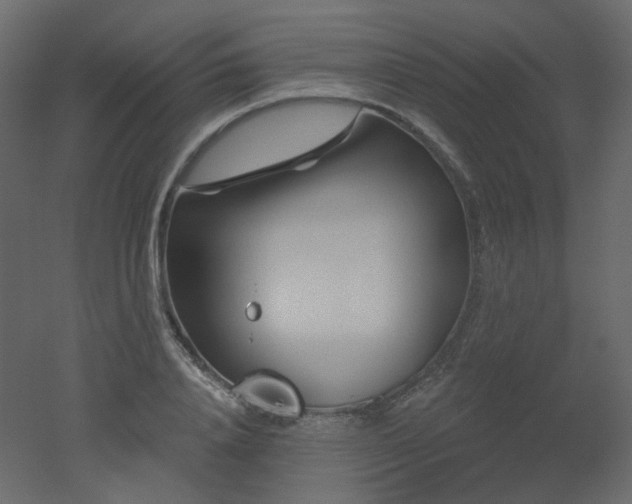 X0000051860840200506241319