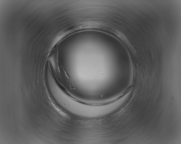 X0000051860842200506241319