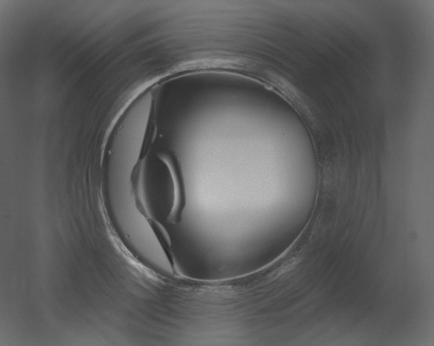 X0000051860844200506241319