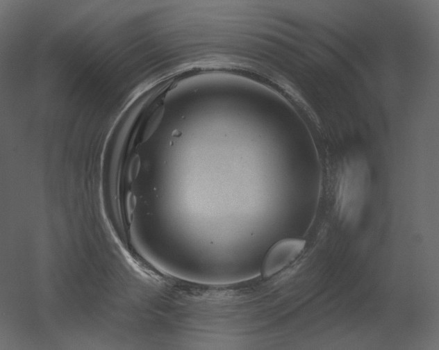 X0000051860845200506241319