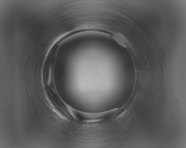 X0000051860846200506241319