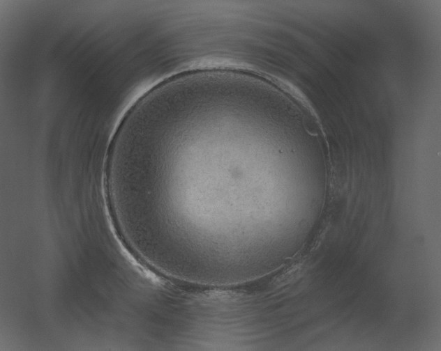 X0000051860847200506241319