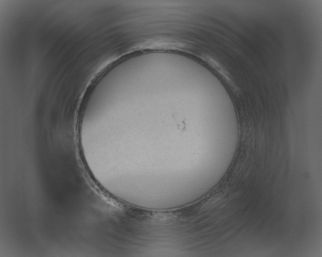 X0000051860848200506241319