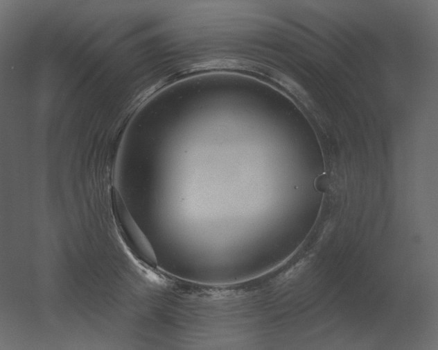 X0000051860849200506241319