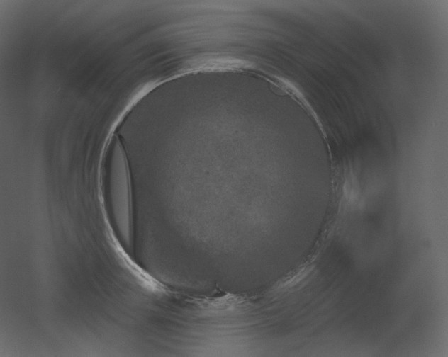 X0000051860851200506241319