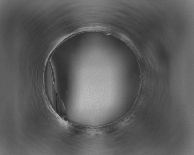 X0000051860852200506241319