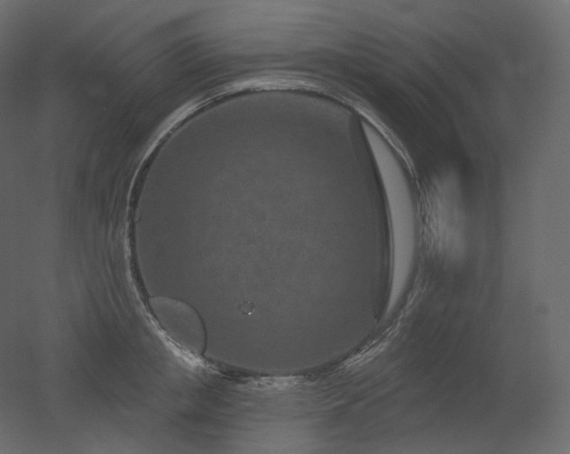 X0000051860853200506241319