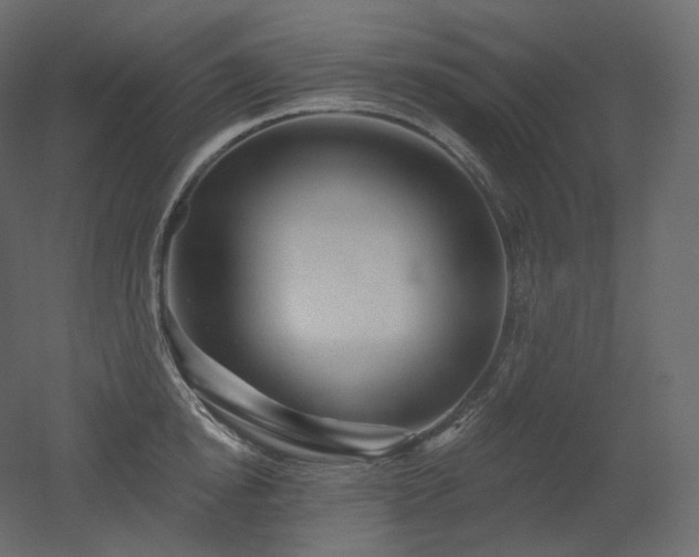 X0000051860854200506241319