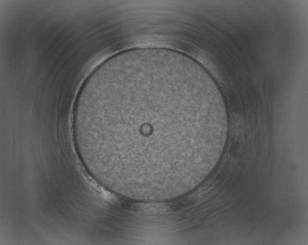 X0000051860856200506241319